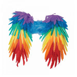 Rainbow Feather Wings